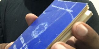 SineBahia divulga 15 vagas para Motorista de Ônibus
