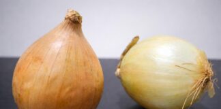 Cebola registra alta de preços na Bahia Cebola registra alta de preços na Bahia