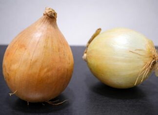 Cebola registra alta de preços na Bahia Cebola registra alta de preços na Bahia