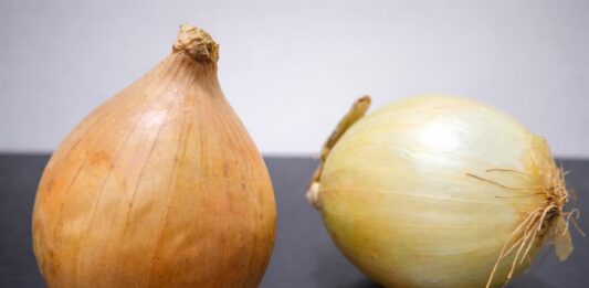 Cebola registra alta de preços na Bahia Cebola registra alta de preços na Bahia