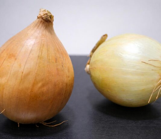 Cebola registra alta de preços na Bahia Cebola registra alta de preços na Bahia
